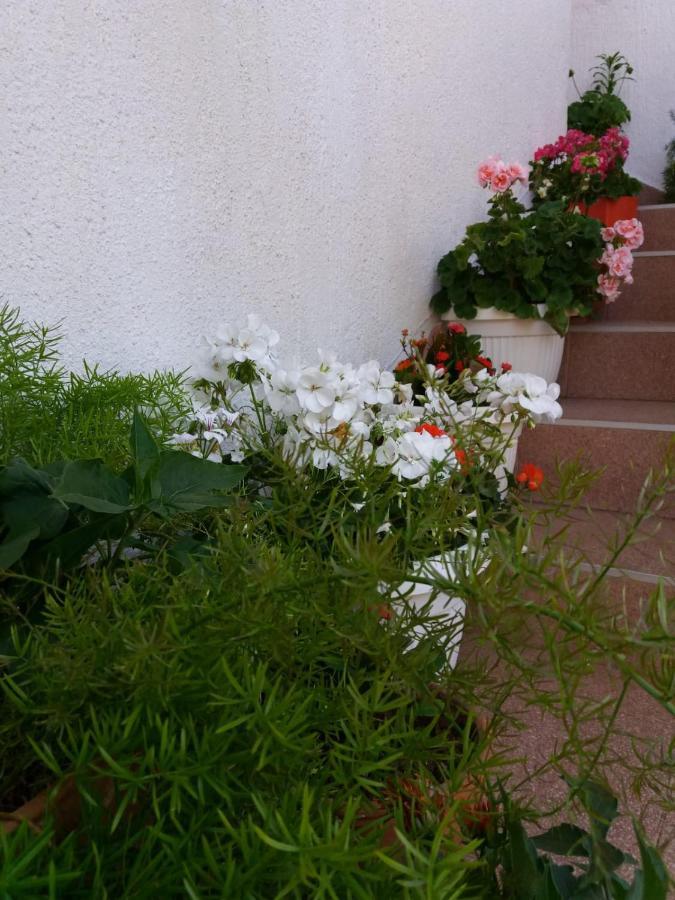 Apartman Sunce Raslina Buitenkant foto