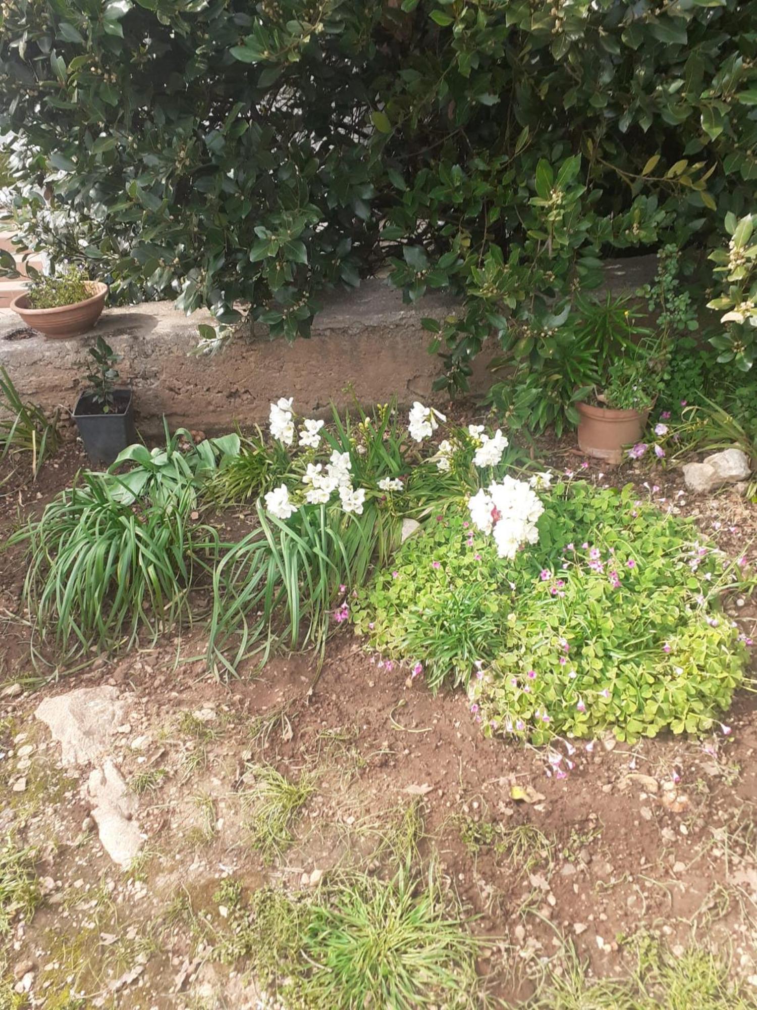 Apartman Sunce Raslina Buitenkant foto