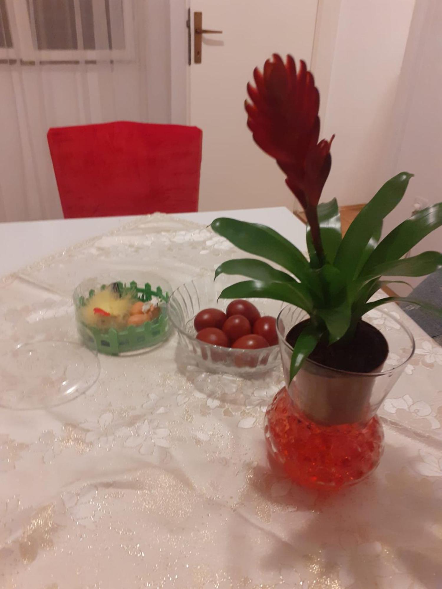 Apartman Sunce Raslina Buitenkant foto