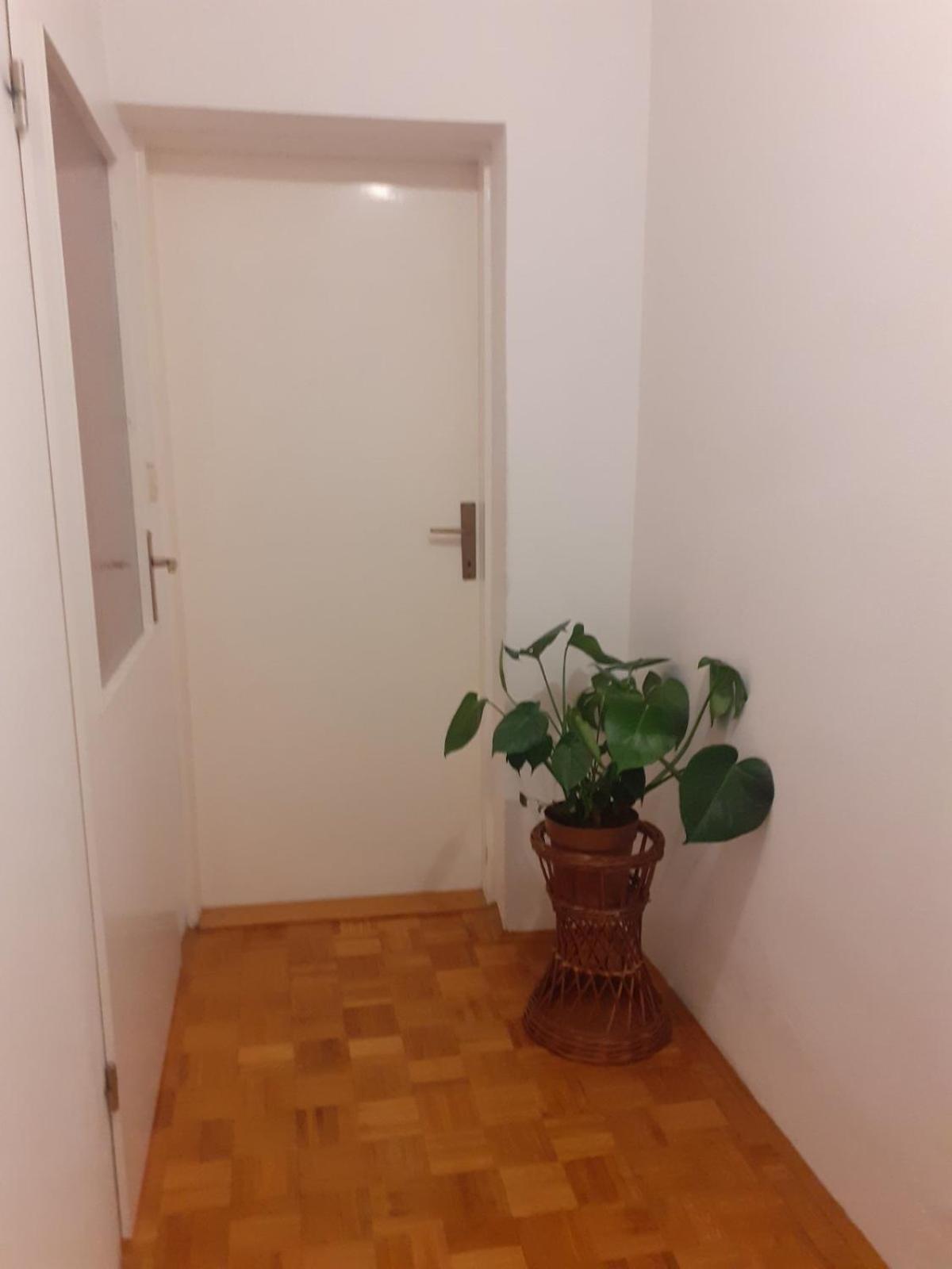 Apartman Sunce Raslina Buitenkant foto