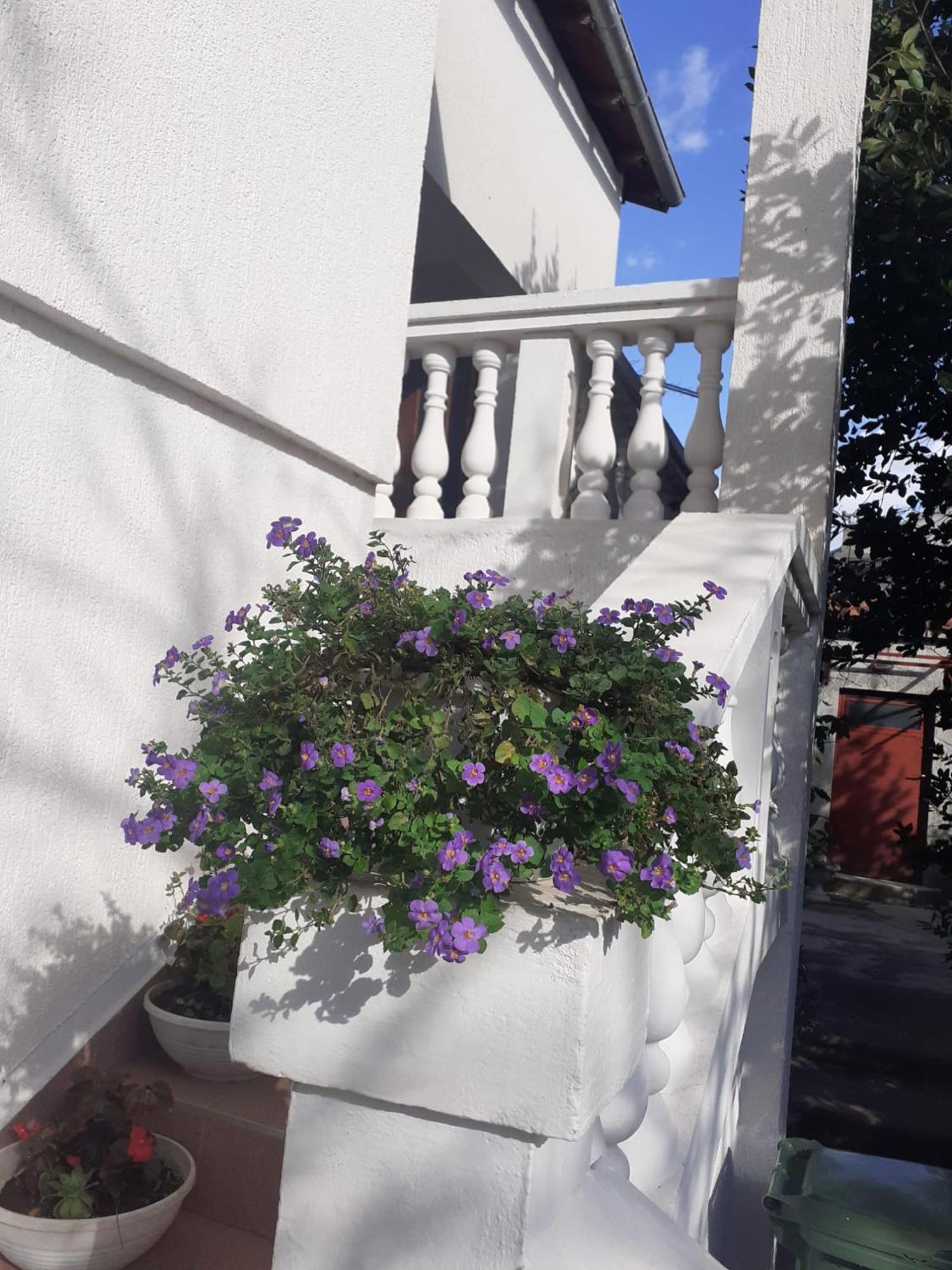Apartman Sunce Raslina Buitenkant foto
